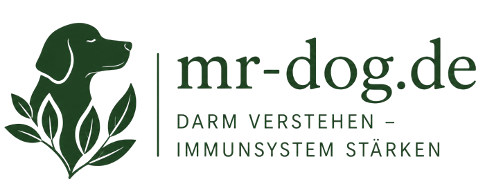mr-dog Logo